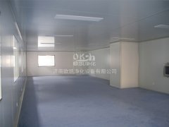 萬(wàn)級(jí)無(wú)菌凈化車(chē)間